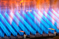 Wanlip gas fired boilers